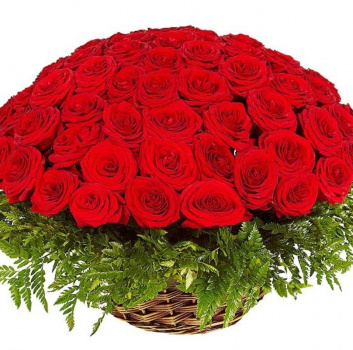 Корзина из 101 красной розы с зеленью